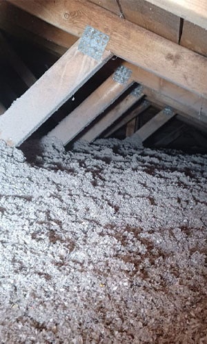 Cellulose entretoit Rive-Sud