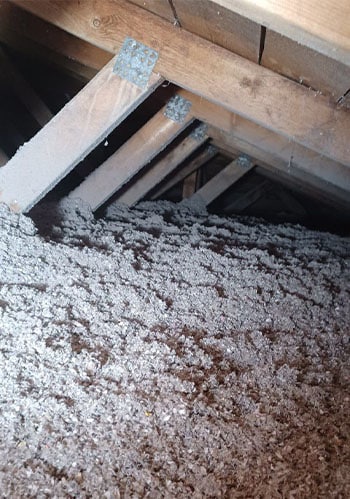 Ouate de cellulose Longueuil